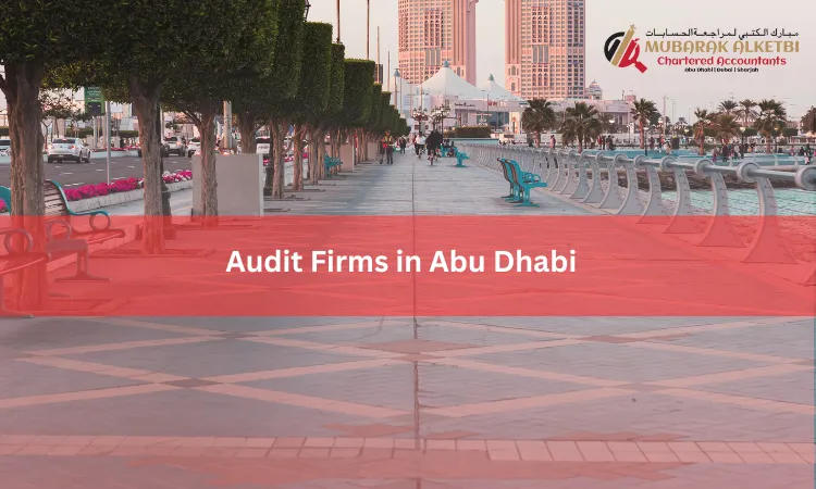 Audit Firms in Abu Dhabi
