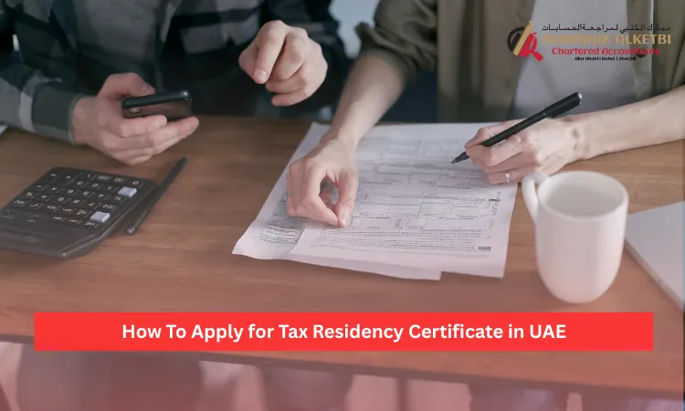 Tax Group Requirements Under VAT in UAE