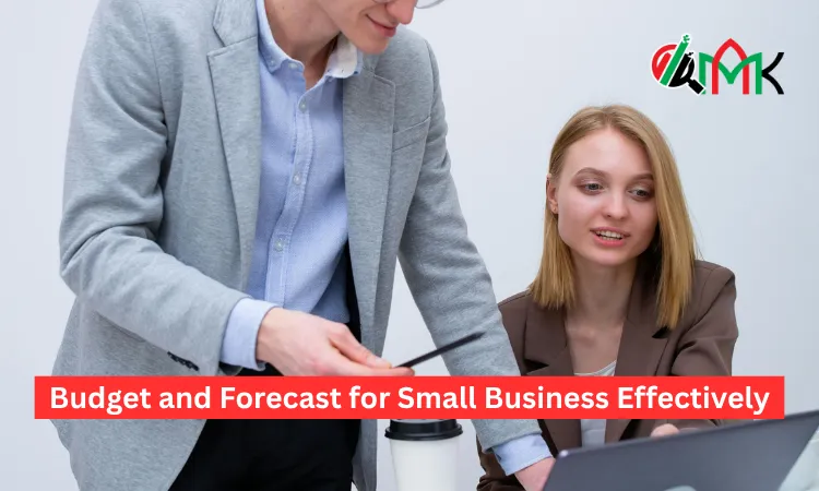 Budget and Forecast for Small Business Effectively