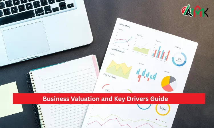 Business Valuation and Key Drivers Guide