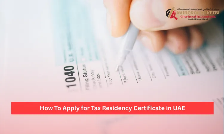 Claim VAT Refunds on EmaraTax: Step-by-Step Guide UAE 5 Claim VAT Refunds on EmaraTax Step-by-Step Guide UAE