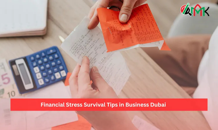 Financial Stress Survival Tips in Business Dubai