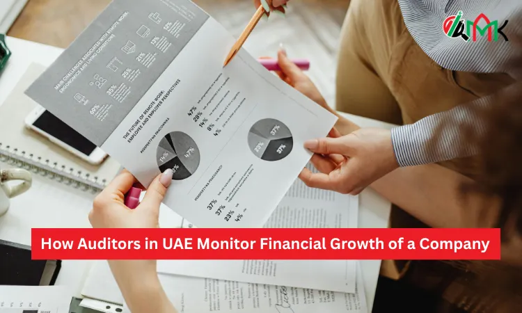 How Auditors in UAE Monitor Financial Growth of a Company
