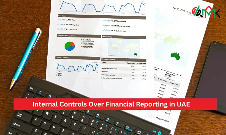 Internal Controls Over Financial Reporting in UAE
