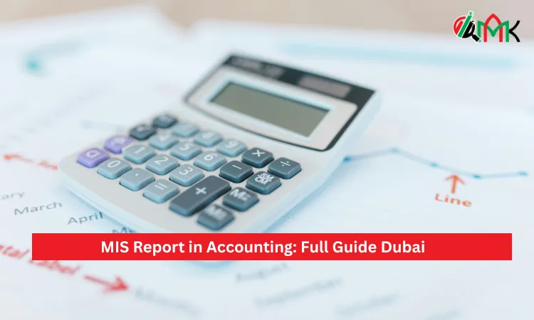 MIS Report in Accounting: Full Guide Dubai 3 MIS Report in Accounting Full Guide Dubai