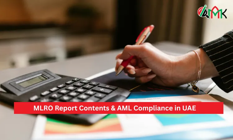 MLRO Report Contents & AML Compliance in UAE 3 MLRO Report Contents & AML Compliance in UAE