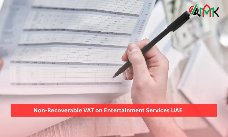Non-Recoverable VAT on Entertainment Services UAE 9 Non-Recoverable VAT on Entertainment Services UAE