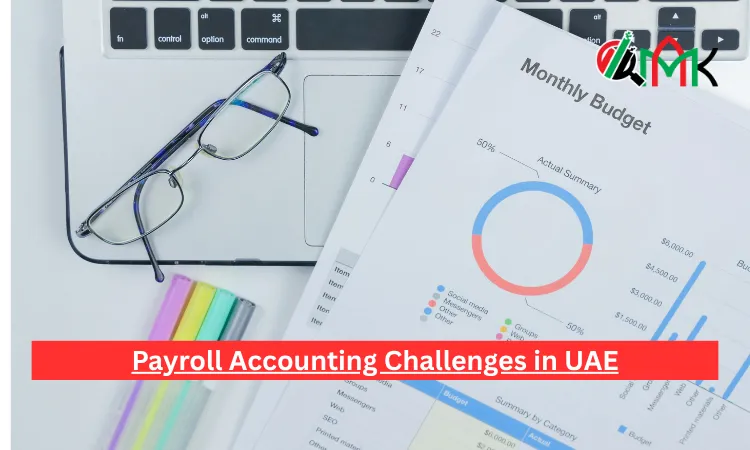 Payroll Accounting Challenges in UAE