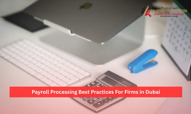 Payroll Processing Best Practices For Firms in Dubai