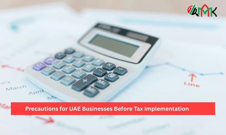 Precautions for UAE Businesses Before Tax Implementation 8 Precautions for UAE Businesses Before Tax Implementation