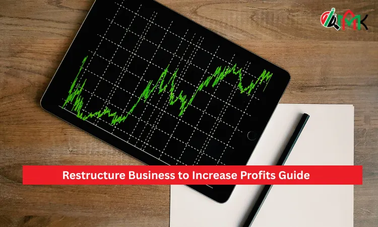 Restructure Business to Increase Profits Guide