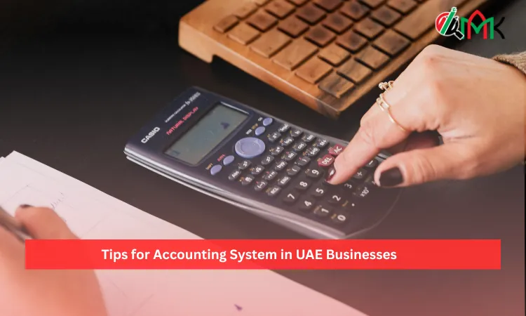 Tips for Accounting System in UAE Businesses