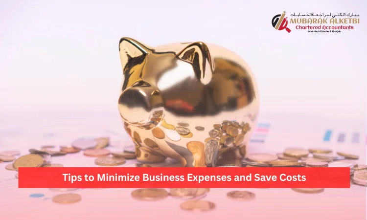 Tips to Minimize Business Expenses and Save Costs