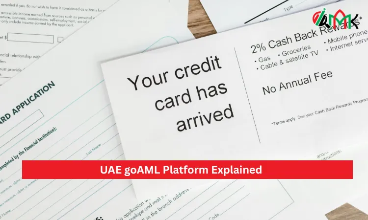 UAE goAML Platform Explained
