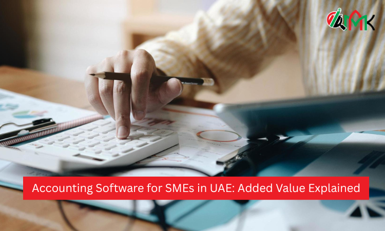 Accounting Software for SMEs in UAE Added Value Explained