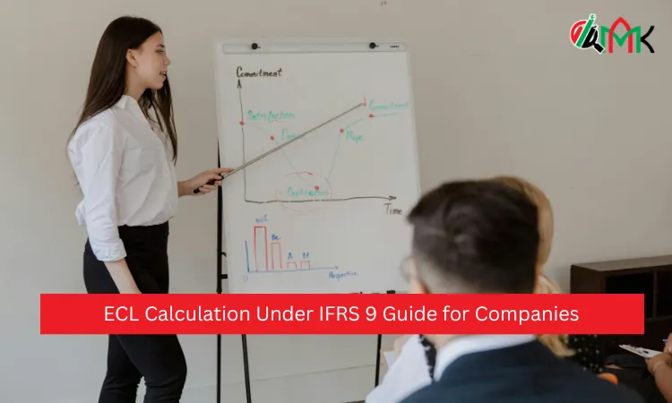 ECL Calculation Under IFRS 9 Guide for Companies