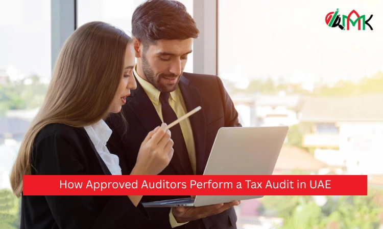 How Approved Auditors Perform a Tax Audit in UAE