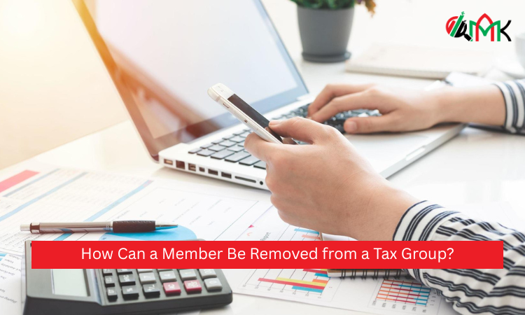 How Can a Member Be Removed from a Tax Group