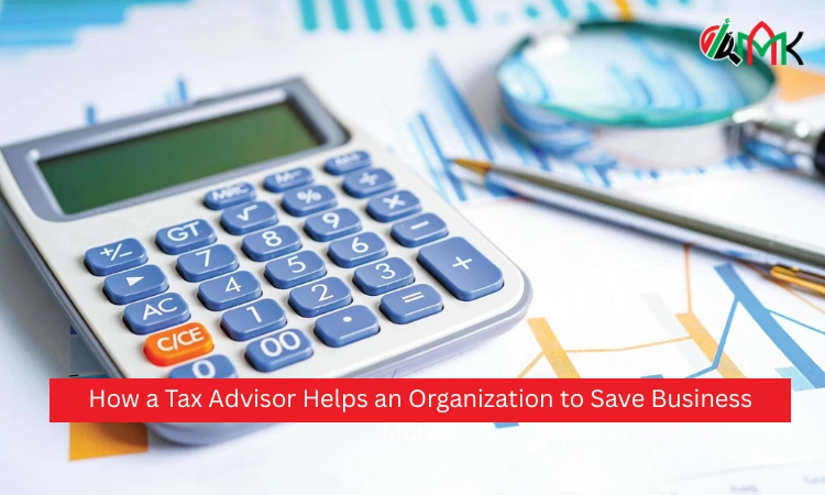 How a Tax Advisor Helps an Organization to Save Business Money