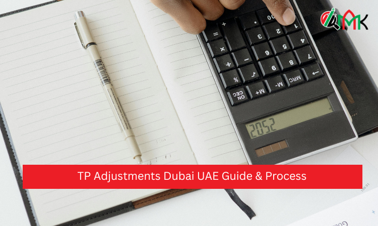 Master File UAE Guide & Compliance