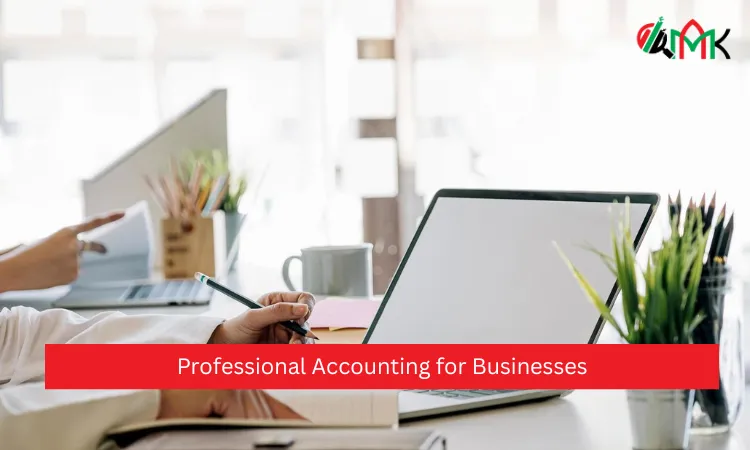 Professional Accounting for Businesses 3 Professional Accounting for Businesses