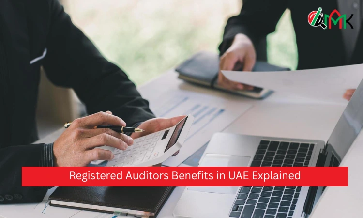 Registered Auditors Benefits in UAE Explained
