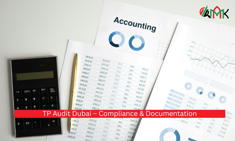 TP Audit Dubai – Compliance & Documentation