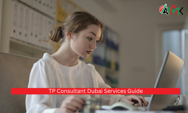 TP Consultant Dubai Services Guide