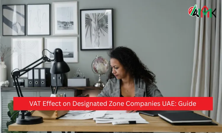 VAT Effect on Designated Zone Companies UAE Guide