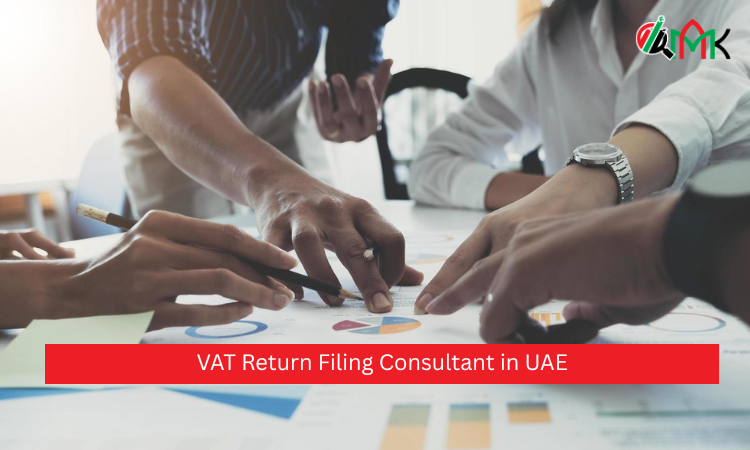 VAT Return Filing Consultant in UAE
