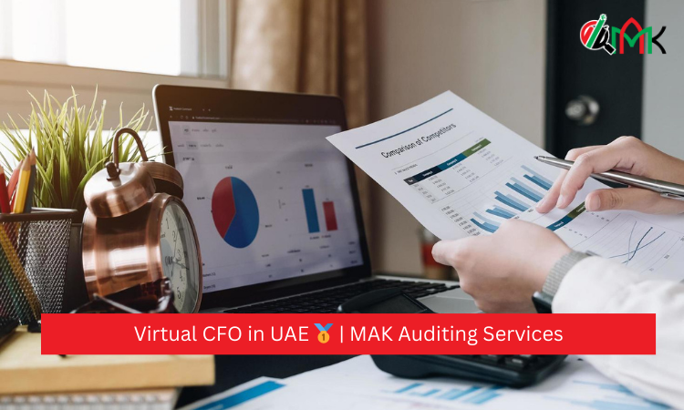 Virtual CFO in UAE 🥇 MAK Auditing Services