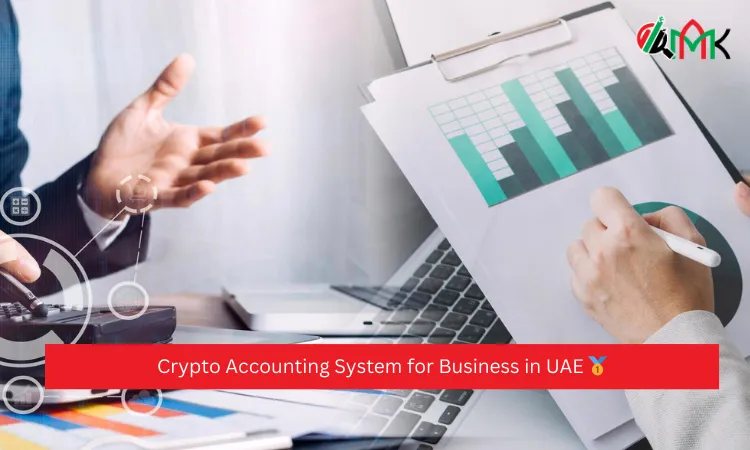 Crypto Accounting System for Business in UAE 🥇