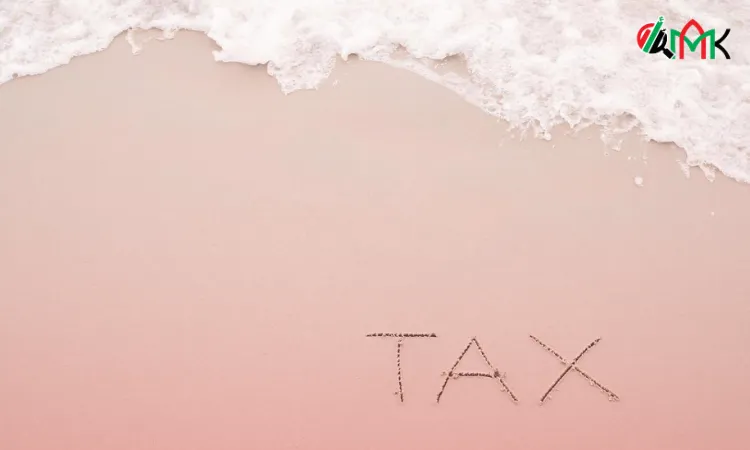 Exploring Corporate Tax Losses - The Impact and Insights