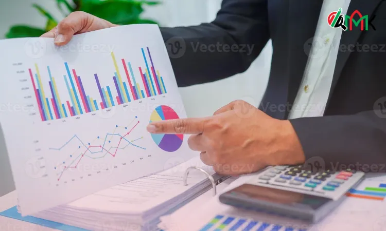 SPCFZ Company Formation Guide MAK Auditing 🥇