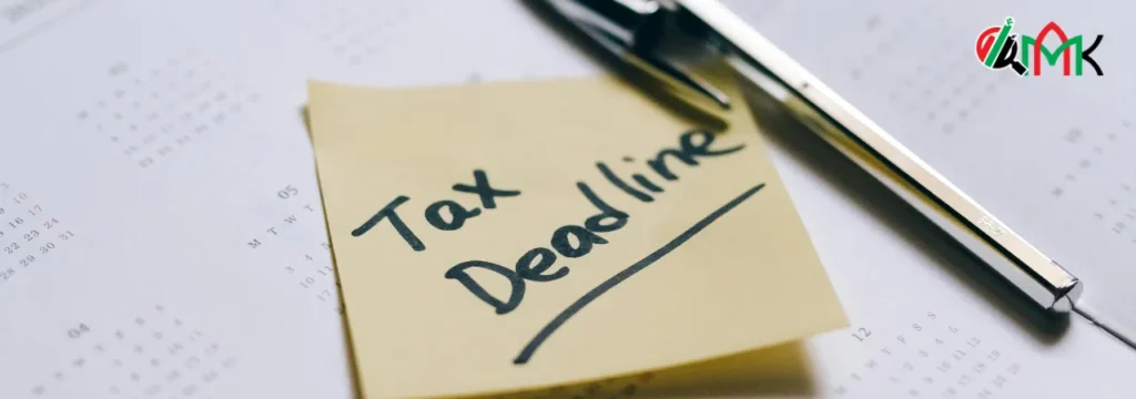 Accounting Services for UAE Free Zones 🥇