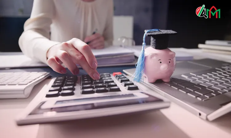 Higher Corporation for Specialized Economic Zones Auditors