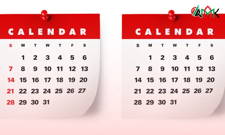 Business Services 1 Month End Reporting - Financial Services - MAK Chartered Accountants