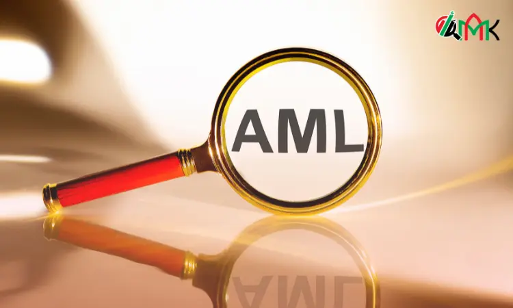 Role of AML Consultants in TFS Compliance UAE