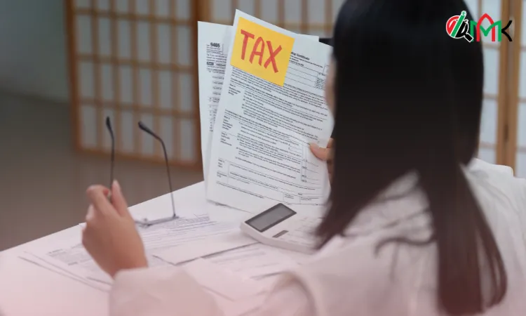 Importance Of Tax Agent For UAE Businesses